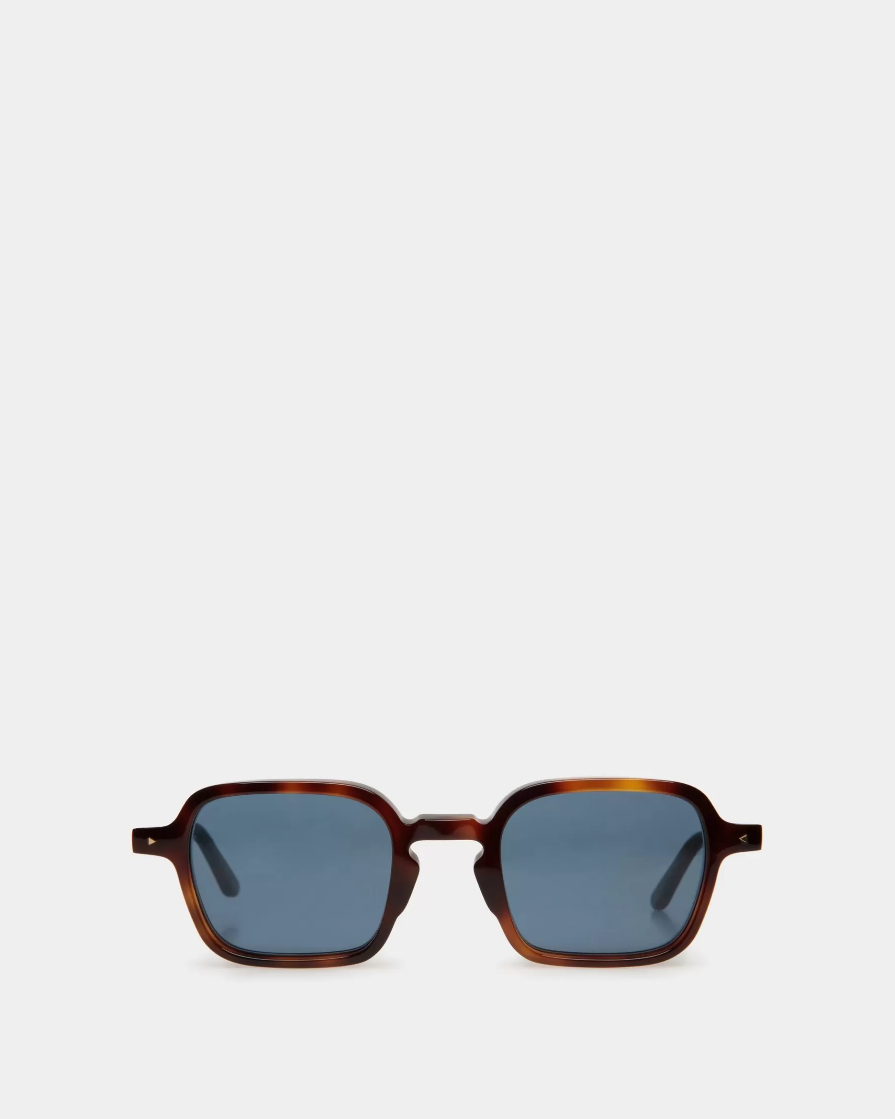 Sunglasses | Sunglasses<Bally Werner Sunglasses In Havana Acetate Brown